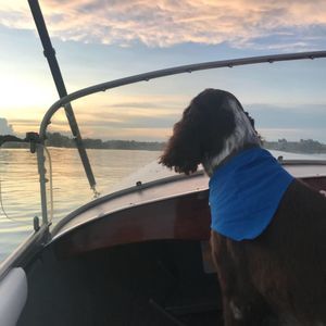 Meet your Posher, Alisha